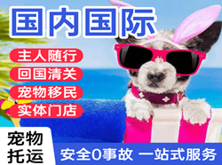 海北祁连机场物流国际宠物托运 【国